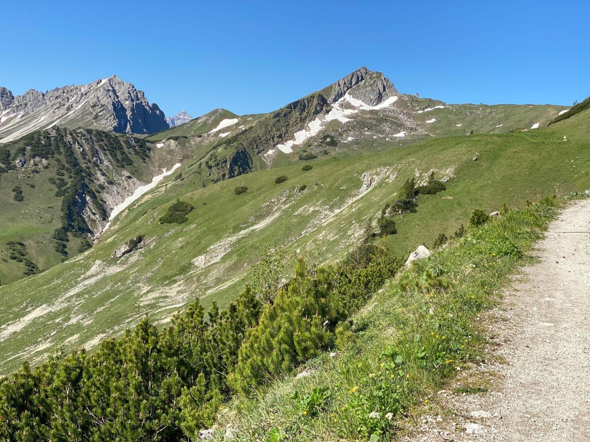 Trollenhof Im Allgaeu - Ferienwohnungen Saeuling Ruckholz Екстериор снимка